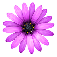 TextMate for mac 2.0.23 实用的文本编辑器 