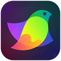 Amadine for mac 1.6.7 精致小巧的矢量设计工具 