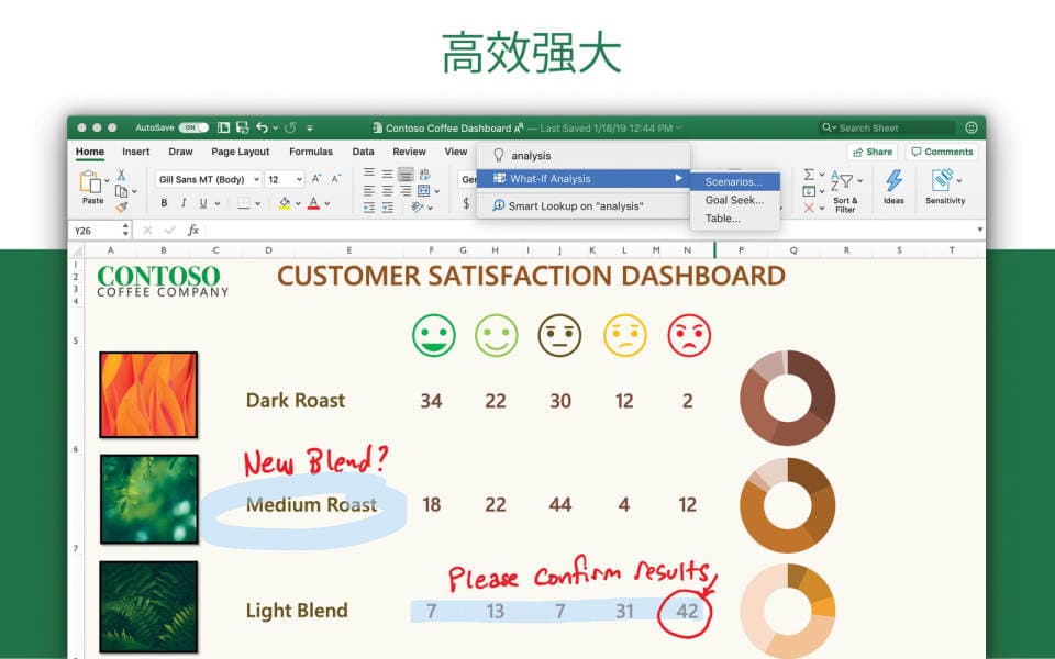 Microsoft Excel for mac 2019 16.68 微软表格处理工具 中文版 截图 1