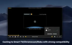 OmniPlayer 2.1.22 播放 MKV 等多种视频格式