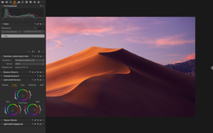 Capture One Pro 16.8 新增增强降噪功能